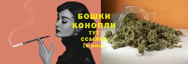ешки Елабуга