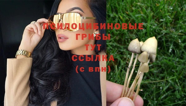 спиды Аркадак