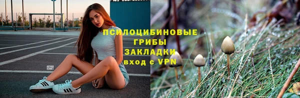 ALPHA PVP Алексеевка