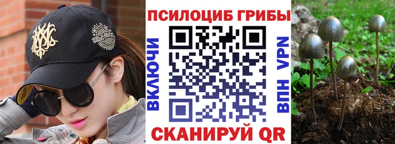 ссылка на мегу сайт  продажа наркотиков  Фролово  Псилоцибиновые грибы GOLDEN TEACHER 